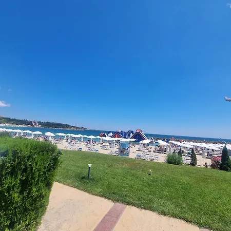 Kalin Complex Aurelia-ravda * 内塞伯尔