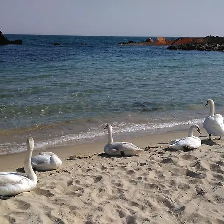 公寓 Kalin Complex Aurelia-ravda