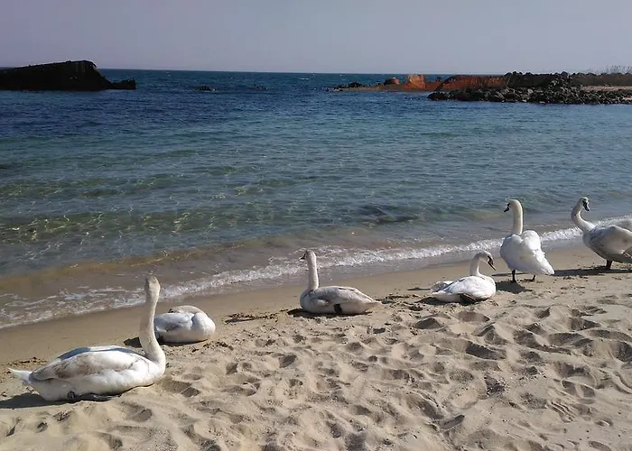 Apartamento Kalin Complex Aurelia-ravda